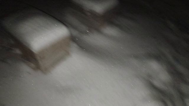 Зимовка пчел на улице 18.12.2024 село Дедуровка