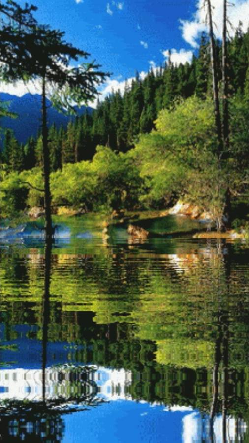 Простить первый раз ... смотреть онлайн