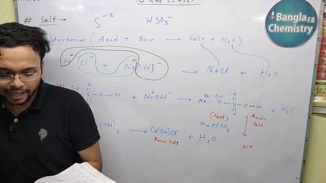 Acid Base Salt Class 10 ICSE - Part (c) Lecture 2 - pH, normal salt, acid salt, basic salt смотреть онлайн