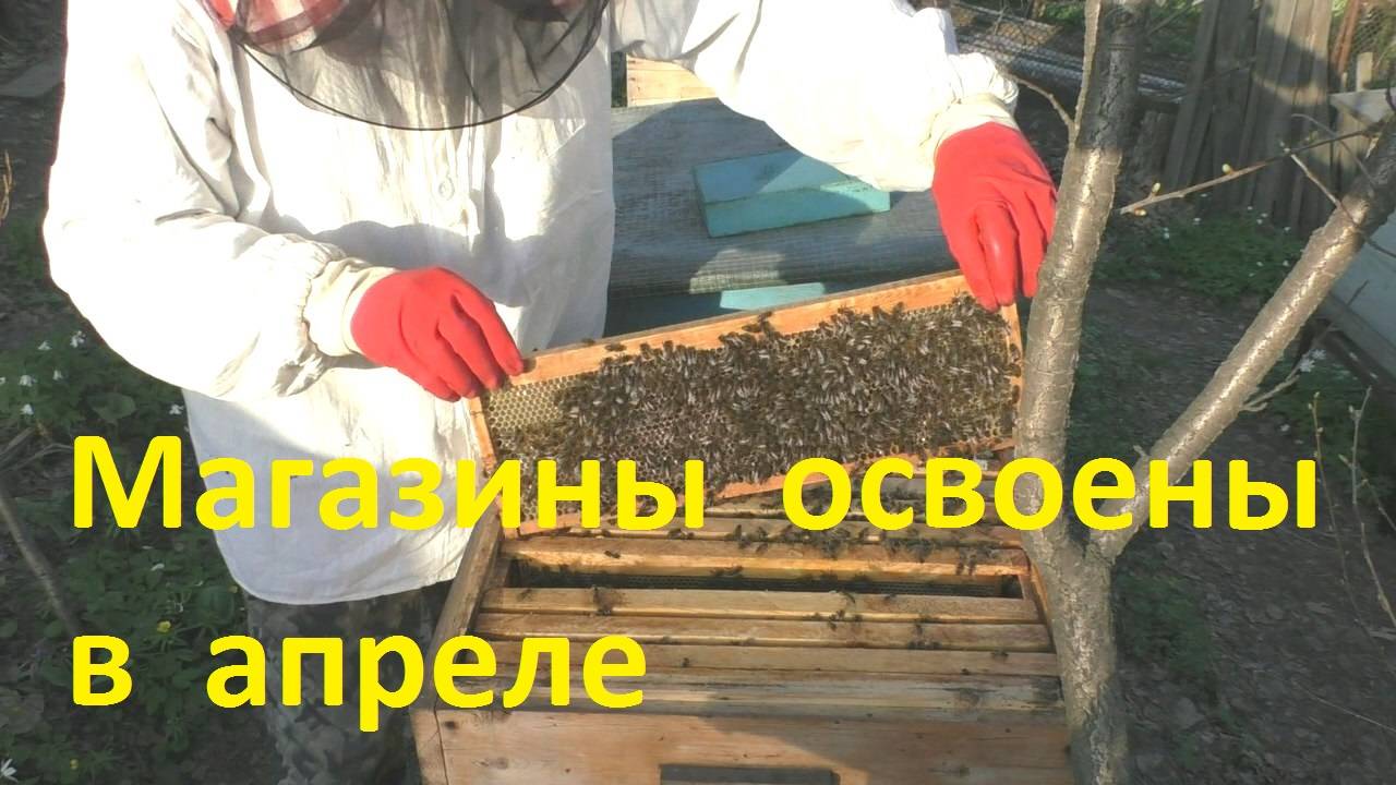 Апрель Поставил магазины и что получилось смотреть онлайн