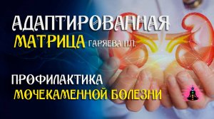 Для очищение и восстановление почек  🌀 Адаптированная программа матрица ☀️ SoftRadio.ru