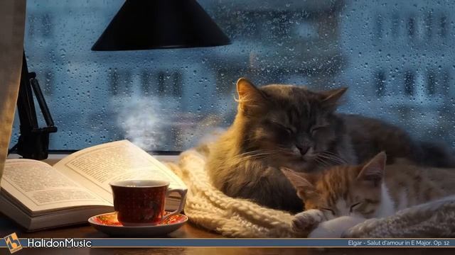 Классическая музыка для сна 🎼😴 [Музыка без рекламы] смотреть онлайн
