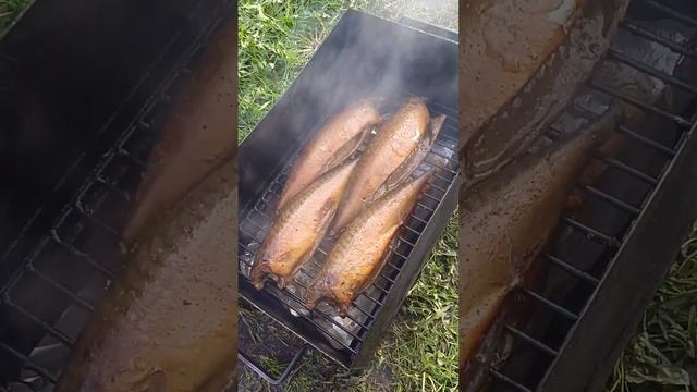 Рыбный День смотреть онлайн