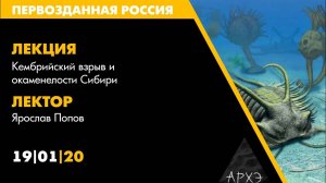 Лекторий АРХЭ на фестивале «Первозданная Россия», Попов Я. «Кембрийский взрыв и окаменелости Сибири»