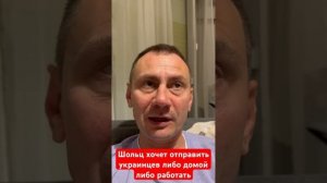 Шольц хочет отправить украинцев, либо домой либо работать.
