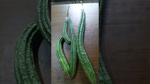 Sponge Gourd смотреть онлайн