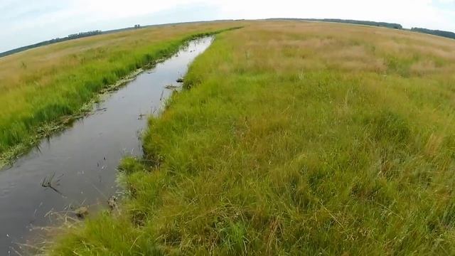 кастинговая сеть 30-ка ф4м на Карасёвом ручье..mp4 смотреть онлайн