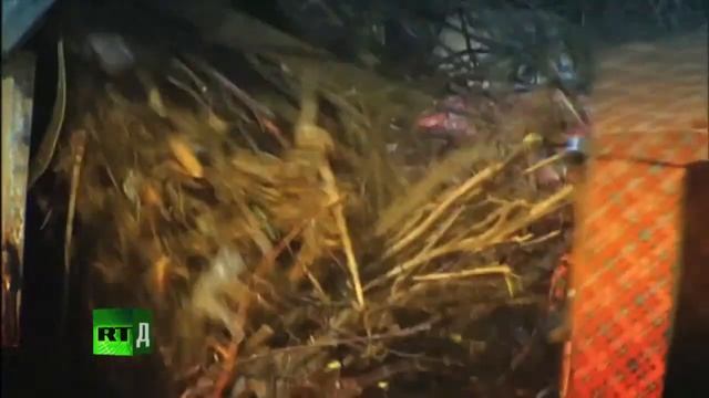 Новые полимеры смотреть онлайн