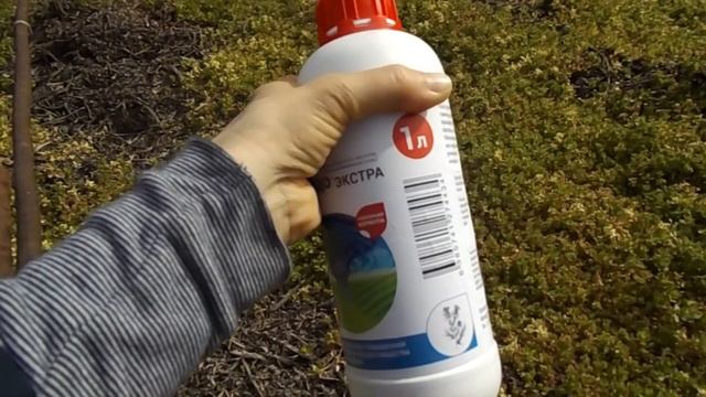 Какое я использую средство от сорняков? смотреть онлайн