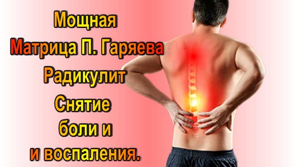 Мощная Оздоравливающая Матрица П. Гаряева  Радикулит/Снятие боли и воспаления/Люмбаго/Ишиас