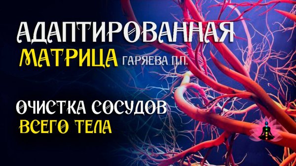 Очистка сосудов всего тела 🌀 Адаптированная программа матрица по технологии Гаряева ☀️ SoftRadio.ru
