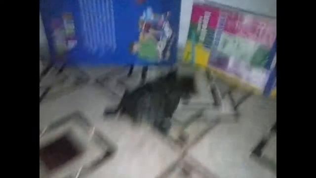 Ёша проходит лабиринт смотреть онлайн