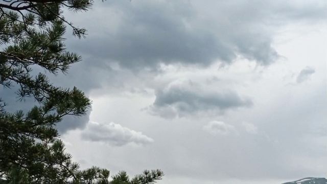 По хребту Гуама. Адыгея.11.05.24. смотреть онлайн