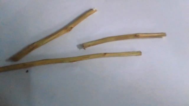 просто палочки для шиншилл 🌟🐀 смотреть онлайн