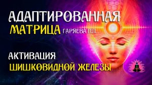 Матрица для активация шишковидной железы 🌀 Адаптированная матрица   ☀️ SoftRadio.ru