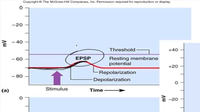 The Chemical Synapse смотреть онлайн