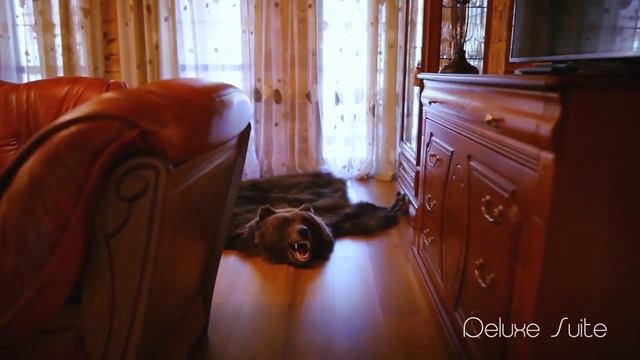 Красный бор Deluxe Suite смотреть онлайн