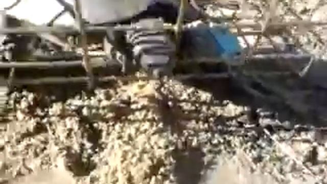 Псих черепаха смотреть онлайн