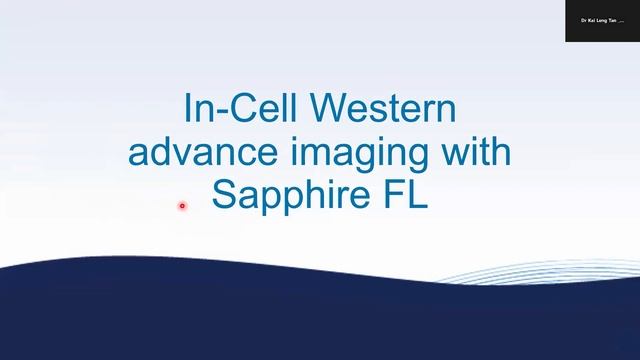 WEBINAR: TOTAL CELL STAINING AND ADVANCED IMAGING FOR QUANTITATIVE IN-CELL WESTERN DATA. смотреть онлайн
