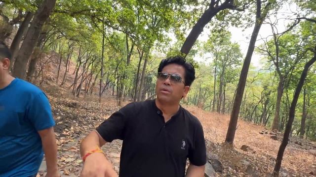 आसमानी बिजली Se Gira पेड़ Fass Gaye जंगल mai смотреть онлайн