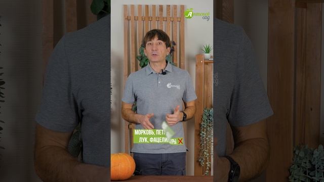 Что посадить с томатом? смотреть онлайн