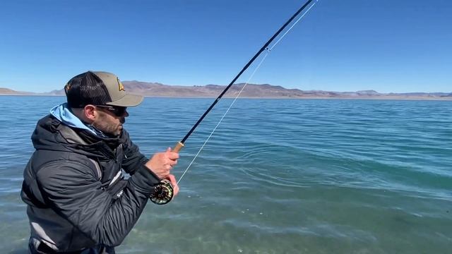Trout Fighting Tip with Landon Mayer смотреть онлайн