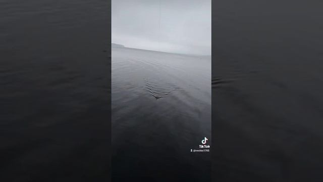 Рыбалка на базе Бриз Углич смотреть онлайн