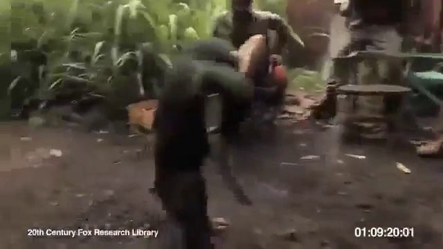 Обезьяна и негры смотреть онлайн