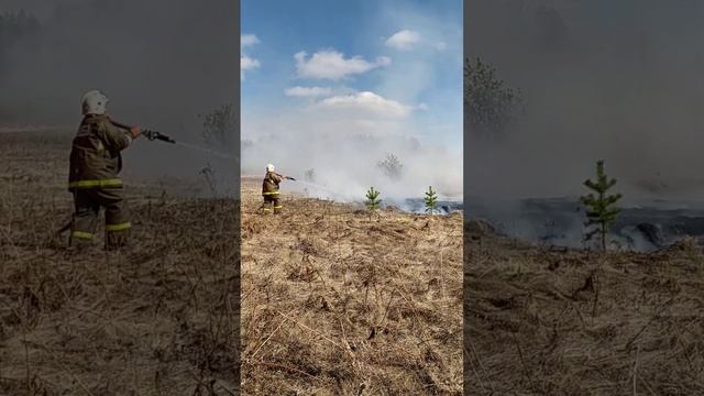Пожары в Свердловской области смотреть онлайн