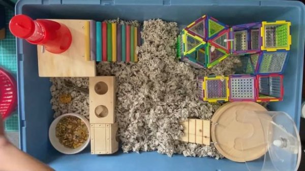 Ferplast Duna Multy for my dwarf hamster