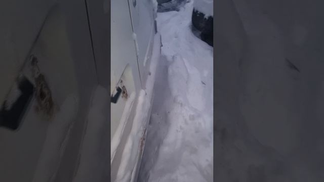 ЗАПУСТИЛ CUMMINS ISF 2.8 ☎️ +79370738633 Михаил #кириллов #газель #авторазбор #cummins #automechanic смотреть онлайн