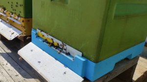 Сравнение ульев лысонь и нижегородец