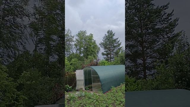 Ветрище смотреть онлайн