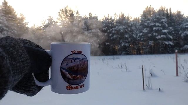 Родовое поместье ВеЛес - Декабрь 2023 смотреть онлайн