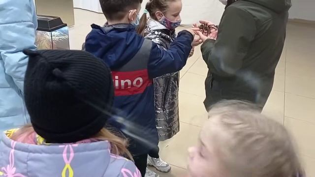 Пауки🕷🕷🕷🕷🕷🕷 смотреть онлайн