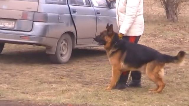 Босс1.MOD смотреть онлайн
