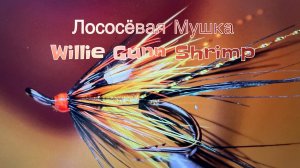 Лососёвая Мушка Willie Gunn Shrimp Как связать от GM FLY