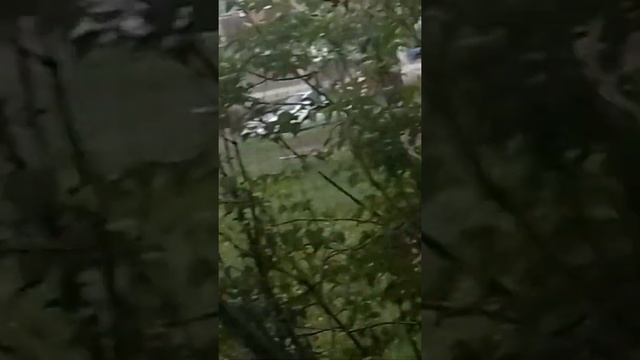 Топ авы со фоном Россия. смотреть онлайн