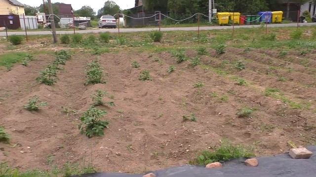 Индюки в шоке - очередное переселение! смотреть онлайн