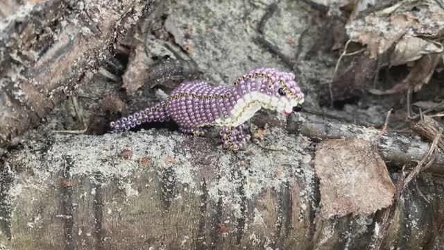 Выдра из бисера / тапир из бисера / объёмное бисероплетение / животные из бисера смотреть онлайн