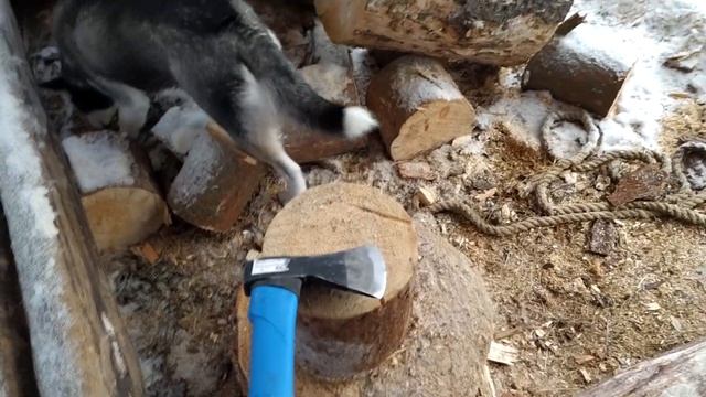 Плотницкий топор Барс 1000 смотреть онлайн