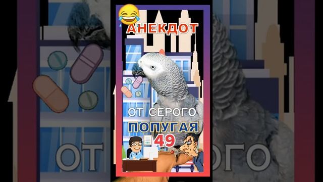 Анекдот 49 смотреть онлайн