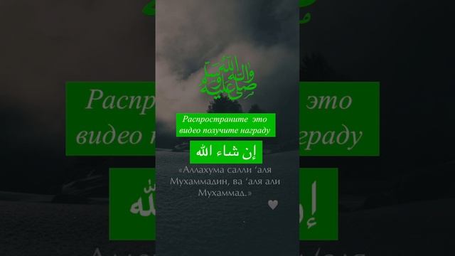 Салават смотреть онлайн