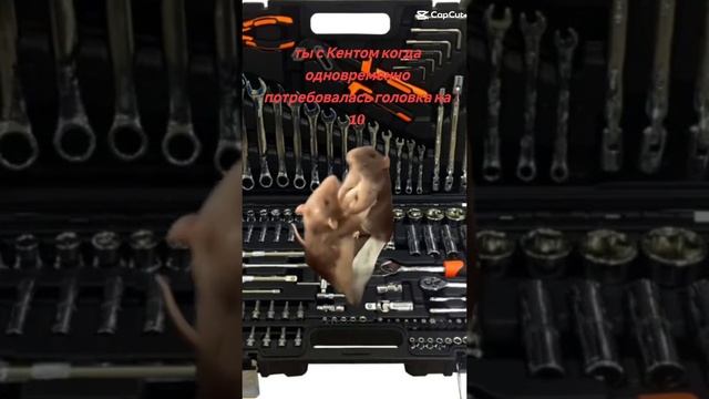 Ты с Кентом когда обоим понадобилась головка на 10