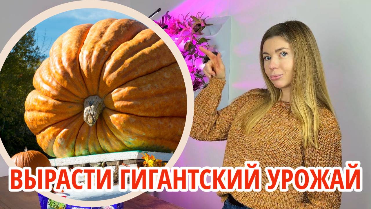 Конкурс на самый крупный урожай 🧑🌾 Выращивайте гигантов и получайте призы смотреть онлайн
