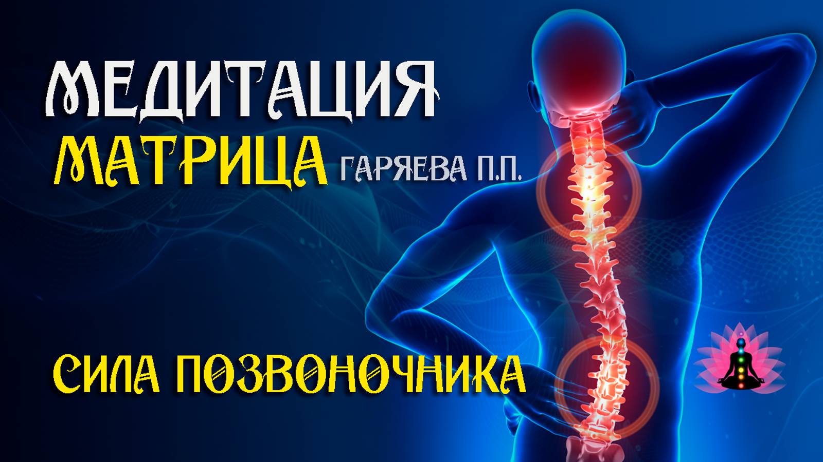 Сила позвоночника 🌀 Адаптированная программа матрица по технологии Гаряева ☀️ SoftRadio.ru