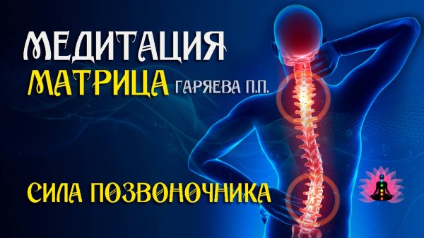 Сила позвоночника 🌀 Адаптированная программа матрица по технологии Гаряева ☀️ SoftRadio.ru