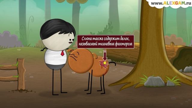 Почему собаки лижут свои раны? смотреть онлайн