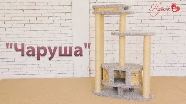 Процесс сборки комплекса «Чаруша» смотреть онлайн
