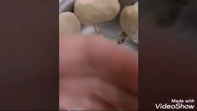 Казан самса смотреть онлайн
